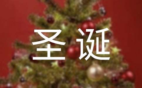 圣誕中的玩具總動員作文2000字