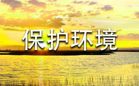 保護(hù)環(huán)境500字作文