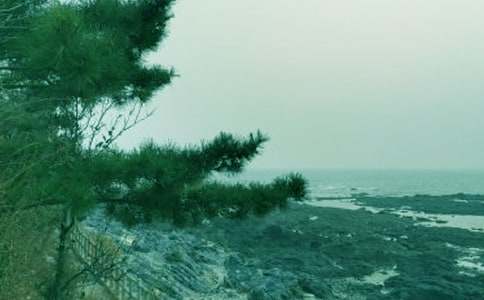 春風十里不如你作文500字