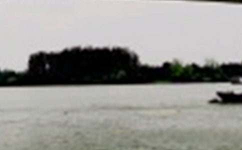 關于長江作文300字（精選15篇）