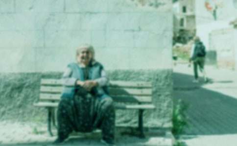 我的奶奶100字作文(精選16篇)