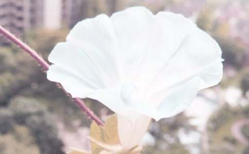 以牽?；椴牧系淖魑?/><span style=