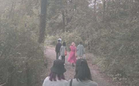 關于登山活動作文（通用24篇）