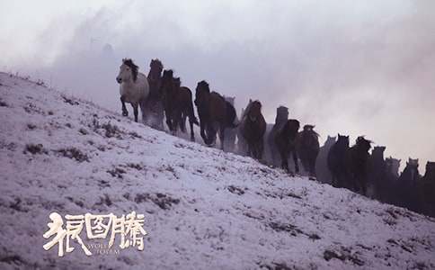 關(guān)于《狼圖騰》讀書筆記(精選19篇)