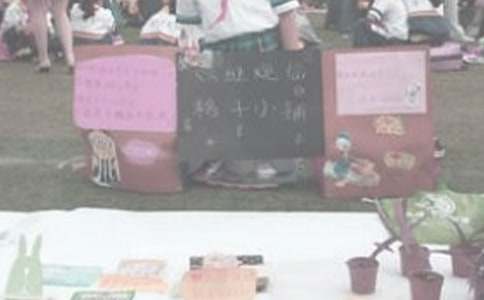 義賣活動(dòng)100作文大全