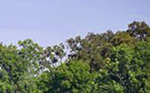 關(guān)于暖心午安寄語(yǔ)大全（通用90句）