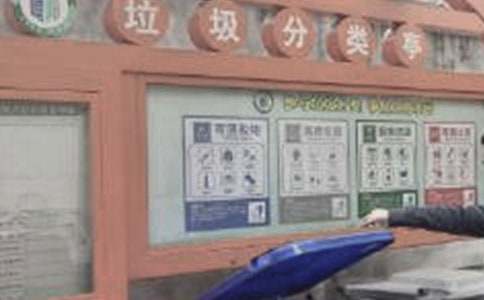 垃圾分類作文800字(通用29篇)