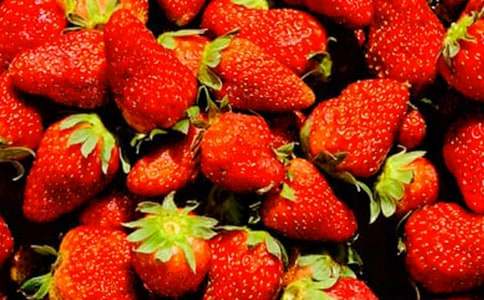 水果介紹說明文作文（精選30篇）