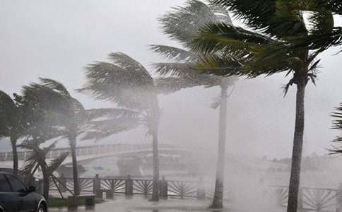 【推薦】臺風作文300字15篇