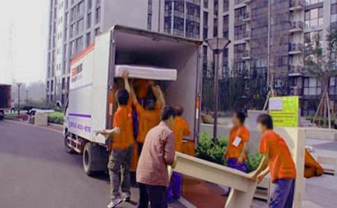 螞蟻搬家作文300字以上(通用32篇)