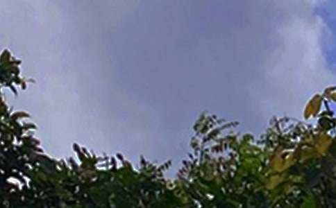 經(jīng)典正能量午安寄語(yǔ)70句