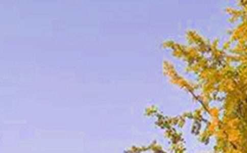 推薦正能量早安寄語(yǔ)（通用140句）