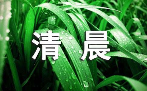 夏天的清晨作文 (通用15篇)