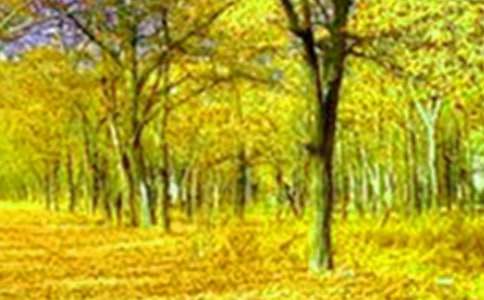 一處美景公園優(yōu)秀作文