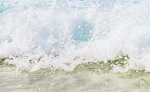 描寫夏天的作文(通用32篇)