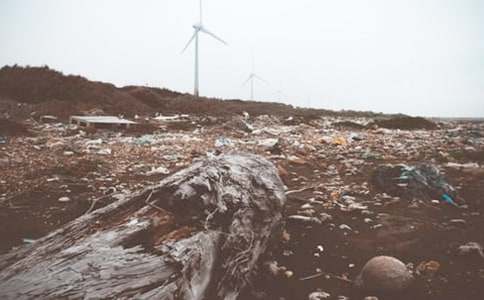 垃圾的危害作文800字(通用21篇)