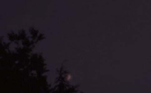 暖心晚安寄語(通用60句)