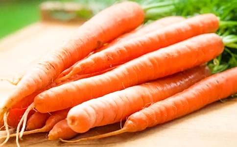 胡蘿卜搭高塔作文500字