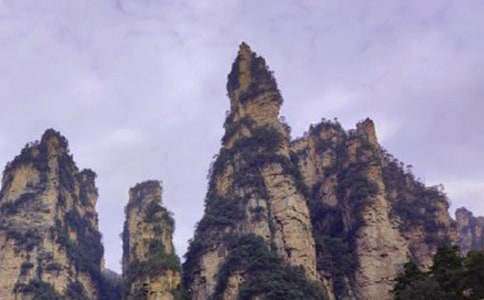 暑假游張家界天門山森林公園作文(通用15篇)