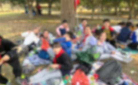 秋游森林公園作文(精選24篇)