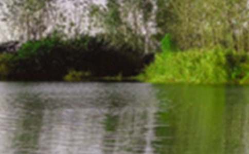 描寫景色的作文