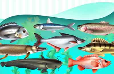 水產養(yǎng)殖的新技術