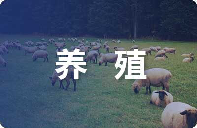 黃鱔的養(yǎng)殖新技術(shù)