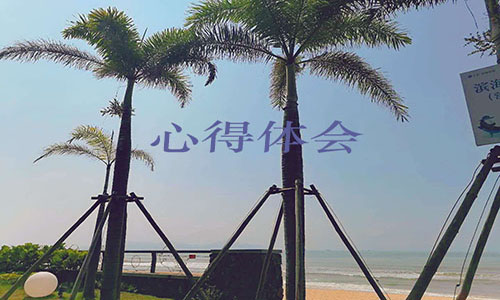 警示教育專題黨課心得體會(huì)范文5篇