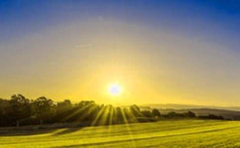 美麗的日出作文200字(通用31篇)