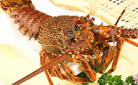 捉龍蝦作文600字(精選30篇)