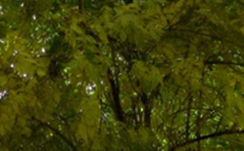 經(jīng)典朋友圈午安寄語(yǔ)(精選30句)