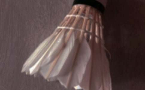 關于打羽毛球的作文600字26篇