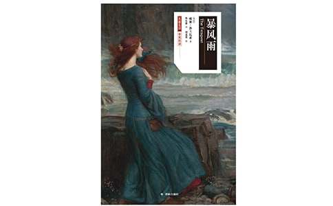 以暴風雨為話題的作文700字(通用26篇)