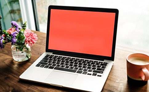 小老鼠玩電腦二年級(jí)作文(精選24篇)