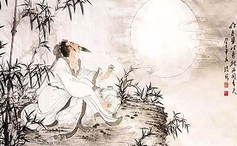 蘇軾作文300字(通用13篇)