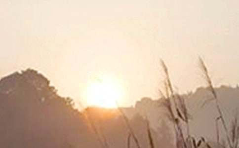 簡(jiǎn)短暖心早安寄語(yǔ)(精選45句)