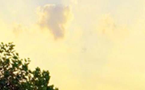 早安勵(lì)志正能量寄語