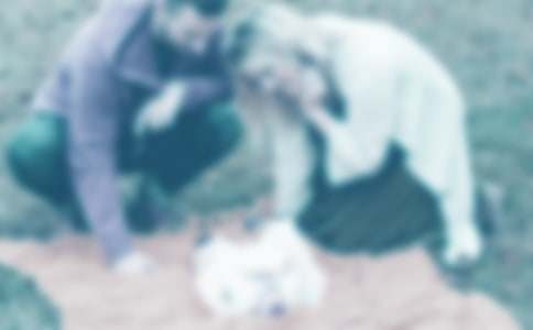 一封給爸爸媽媽信1000字(精選11篇)