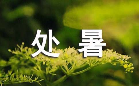 處暑相關(guān)諺語(yǔ)(精選190句)