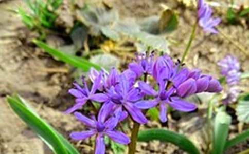 常見暖心早安寄語大全140句