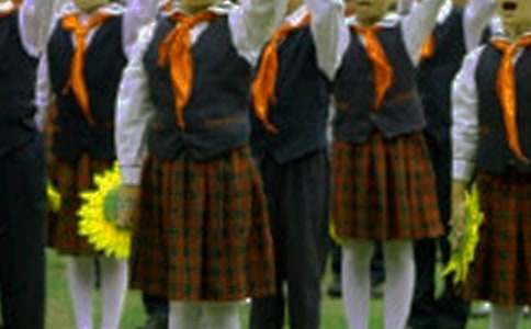 我與紅領(lǐng)巾作文800字(精選35篇)