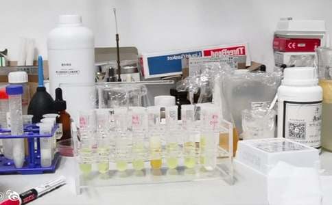 實(shí)驗(yàn)室工作計(jì)劃(精選23篇)