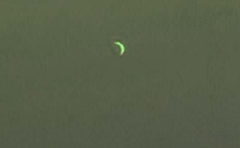 月亮擬人句(通用220句)