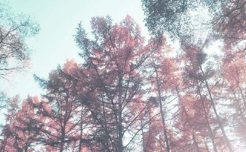 2024年秋季全國中小學生交通安全主題課觀后感(精選15篇)