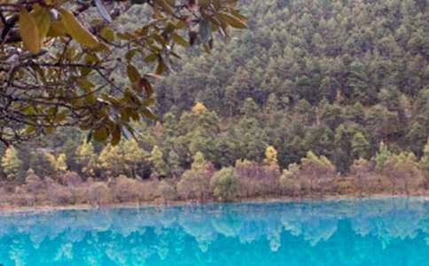 美麗的麗江古城700字作文(精選22篇)