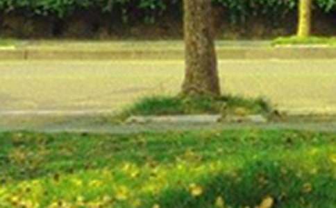 經(jīng)典治愈早安寄語(yǔ)(通用155句)