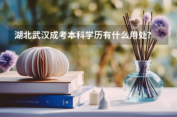 湖北武漢成考本科學(xué)歷有什么用處？