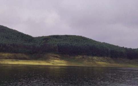 游梅西水庫初一記敘文(精選10篇)