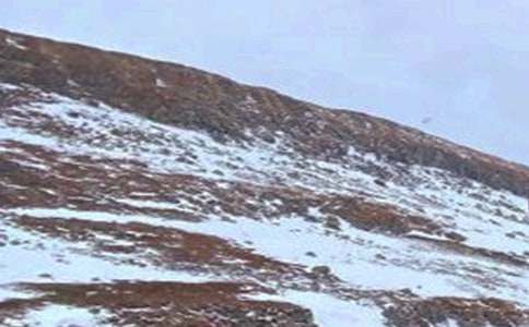 長(zhǎng)白山游記滿(mǎn)分作文(精選41篇)