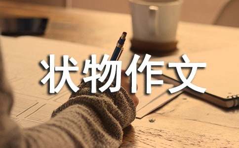 我的小陶罐狀物作文550字(精選14篇)